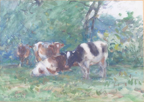 Cows