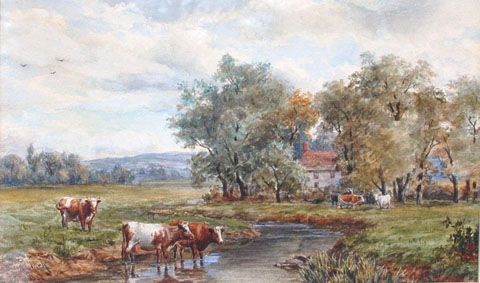 Shorthhorn Cattle by a River