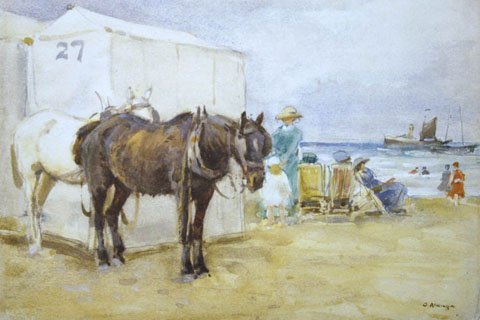 Donkeys on the Beach