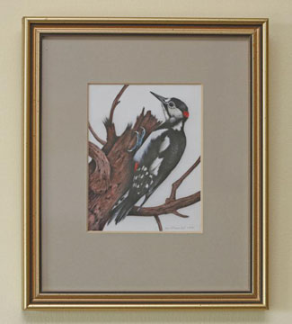 Woodpecker