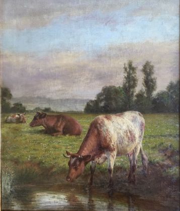 Shorthorns grazing by a stream
