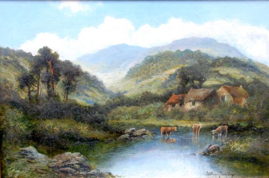 Highland Cattle watering before a Cottage