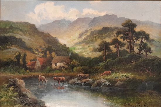Highland Cattle watering before a Croft