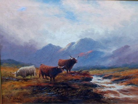 Highland Cattle