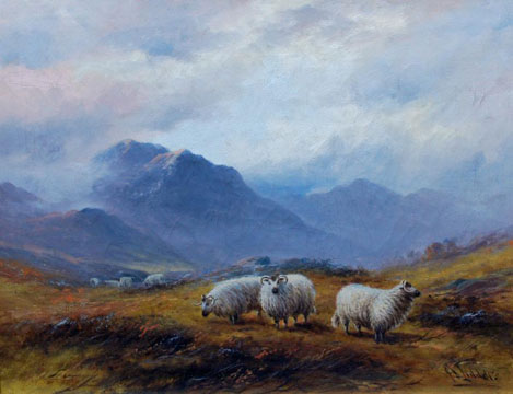 Sheep in the Highlands