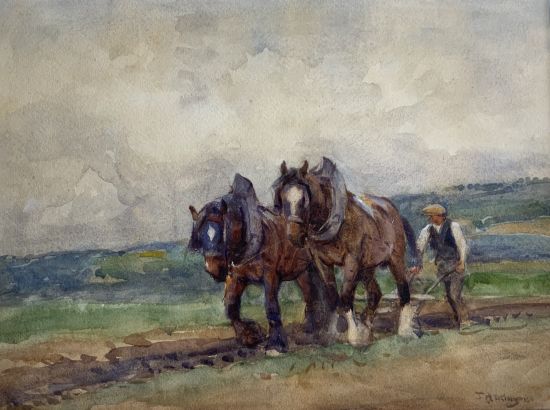 Shire Horses Ploughing