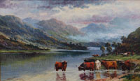 Loch Elk