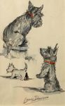 Cairn Terriers