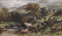 Highland cattle by a stream