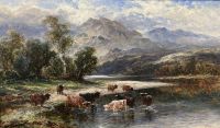 Highland cattle in a river