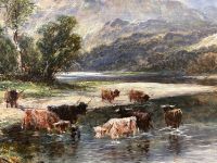 Highland cattle in a river