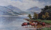 Highland Cattle in an expansive Scottish Landscape