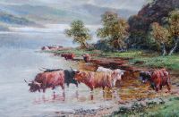 Highland Cattle in an expansive Scottish Landscape