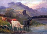 Highland cattle watering by a loch