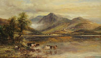 Shorthorn Cattle by a Scottish Loch