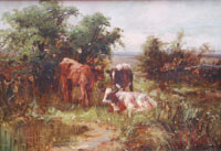 Calves by a Pond